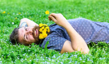 Doğal güzellik kavramı. Hippi sakal rahatlatıcı dandelions buket. Sakallı adam karahindiba çiçekli çayır, çimen arka plan üzerinde yatıyordu. Sakallı yüzü gülen üzerinde zevk doğa
