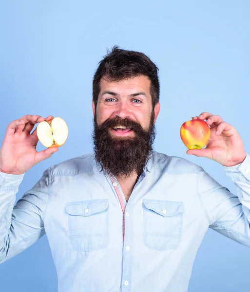 Alternativa saludable. Manzanas en ambas manos alternativa saludable. Hombre barbudo sonriente sostiene manzanas en las manos fondo azul. Concepto de nutrición totalmente saludable. Alimentación dietética para la salud vitamina nutrición — Foto de Stock