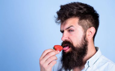 Erotik kavramı. Oral muamele. Yani nasıl tadı yaz. Adam yakışıklı seksi çilek dil yalama uzun sakallı hippi. Hipster sulu olgun kırmızı çilek tadını çıkarın. Adam yalama tatlı berry