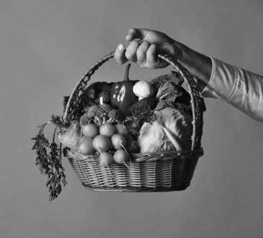 Vejetaryen beslenme kavramı. Taze sebze ile hasır sepet. Lahana, turp, biber, brokoli, havuç, mantar ve marul çiftçi tutar.