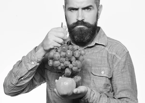 Viticultor con cara estricta sostiene uvas y fruta roja. Hombre con barba sostiene racimo de uvas verdes y manzana —  Fotos de Stock