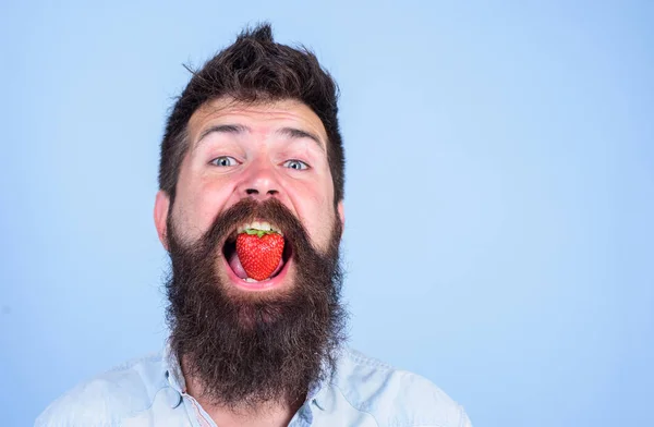 Strawberry sweet taste concept. Man handsome hipster with long beard eating strawberry. Man enjoy berry taste. Berry in mouth of bearded hipster. Hipster cheerful enjoy juicy ripe red strawberry