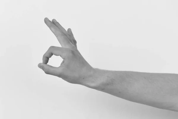 Body Language Concept Male Hand Shows Okay Sign Gesture Expresses — Stock Photo, Image