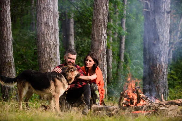 Şenlik ateşinin yanında çoban köpeği olan Pat Alman çoban köpeği..
