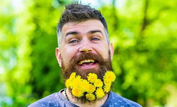 Conceito de barbeiro. Hipster com buquê de dentes-de-leão em barba. Homem barbudo com flores de dente-de-leão em barba, de perto. Homem com barba e bigode no rosto feliz, fundo verde, desfocado — Fotografia de Stock