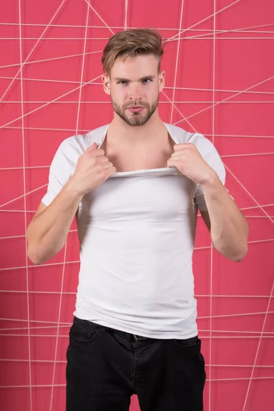 Guy bearded and attractive tearing off shirt. Masculinity concept. Man with bristle on strict face undressing, pink background. Man with beard or unshaven guy looks handsome and well groomed