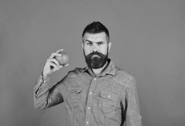 Sakallı yeşil meyve üzerinde yeşil arka plan izole tutar. Tarım ve sonbahar ürünler kavramı. Çiftçi ile karışık yüz