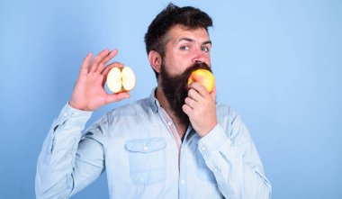 Sakallı adam meyve, tutan apple mavi arka plan yiyor. Yarım elma sağlıklı yaşam tarzı. Besin değeri kavramı. Vitamini beslenme diyet sağlık. Hipster doğal ekolojik elma gösterir
