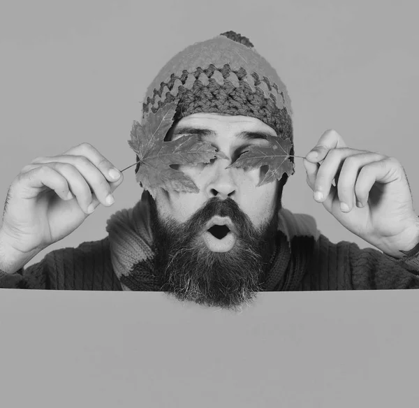 L'uomo in cappello tiene foglie di acero verde su sfondo arancione, copiare spazio. Hipster con barba e volto sorpreso chiude gli occhi con foglia. Tempo di ottobre e novembre idea. Autunno e freddo — Foto Stock