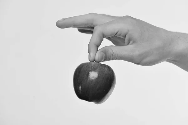 Manlig hand håller rött äpple. Apple frukt isolerad på grå bakgrund — Stockfoto