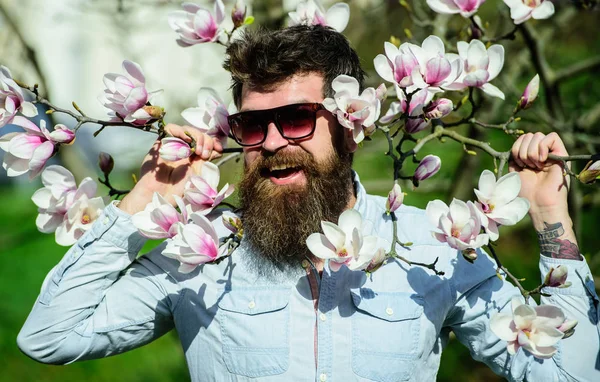 Hipster en gafas de sol de moda alegremente posando con ramas de magnolia en el fondo. Chico con gafas de sol modernas y elegantes. Concepto de moda. Hombre con barba y bigote lleva gafas de sol en día soleado — Foto de Stock