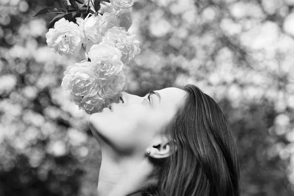 Donna dal viso romantico annusa rose bianche o avorio — Foto Stock
