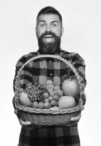 Mann mit Bart hält Korb mit Obst auf weißem Hintergrund, — Stockfoto