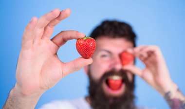 Sakallı adam defocused kırmızı dut ile göz kırpıyor. Adam yakışıklı hipster uzun sakal yiyecek çilek tutun. Benim berry adlı bak. Hipster mutlu sulu çilek mavi arka plan tadını çıkarın. Mükemmel çilek kavramı
