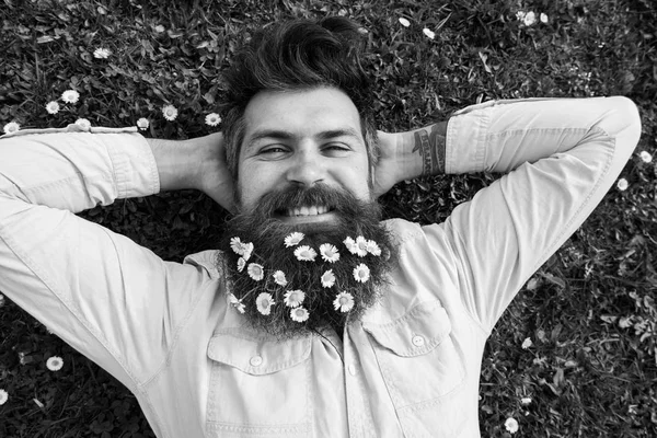 Concept relaxant. Hipster sur le visage heureux repose sur l'herbe, vue de dessus. Homme à la barbe et la moustache aime printemps, fond de prairie verte. Il est beau avec des fleurs de marguerite ou de camomille à la barbe. — Photo
