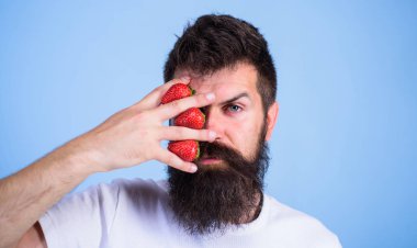 Hipster sakal bıyık düşünceli yüz çilek düşünüyorum. Adam hakkında çilek mavi arka plan başka bir şey düşünemiyorum. Çilek aklımda. Adam hipster tutun el ile çilek yüz yakınındaki sakallı