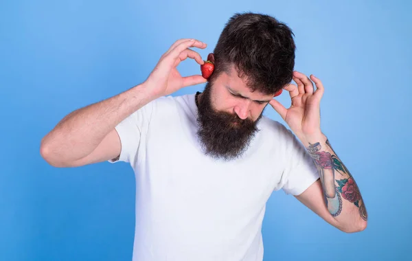 Чоловік бородатий хіпстер червоні стиглі полуничні вуха як навушники. Літній хіт концепції. Гіпстерська борода слухати музику полуничних навушників. Хлопець насолоджується соковитим звучанням літньої хітової пісні. Музика літніх плейлистів — стокове фото
