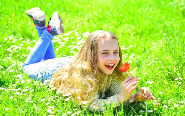 感度の概念。子供では、春の晴れた日、デイジーの花と草原で横になってお楽しみください。笑顔の女の子は赤いチューリップの花を保持して、香りの手引き。背景に草地の草の上に横たわる少女 — ストック写真