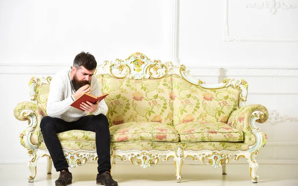 Scandalous bestseller concept. Guy reading book with attention. Macho on concentrated face reading book. Man with beard and mustache sits on baroque style sofa, holds book, white wall background