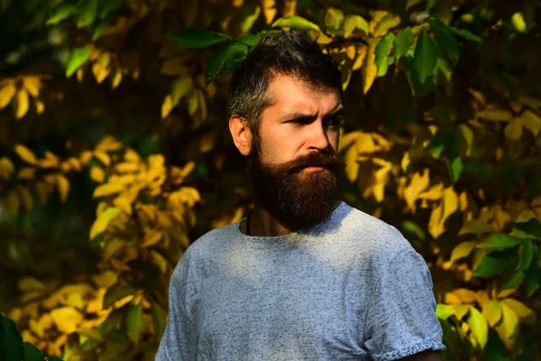 Autumn season and masculinity concept. Man with serious face — Stock Photo, Image