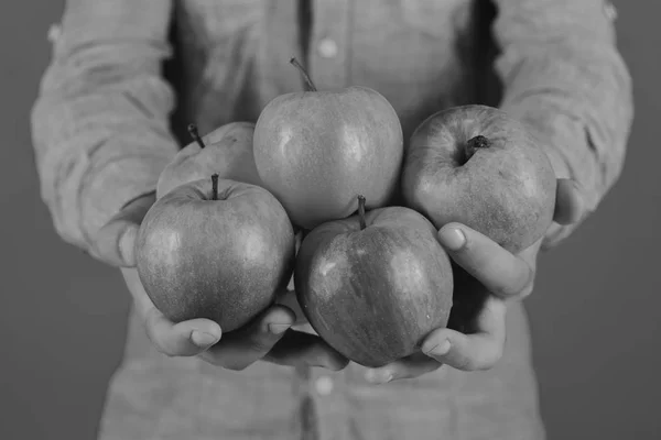 신선한 사과 농민 손바닥 가득합니다. 남자 손을 잡고 녹색 배경에 고립 빨간 사과 과일 — 스톡 사진