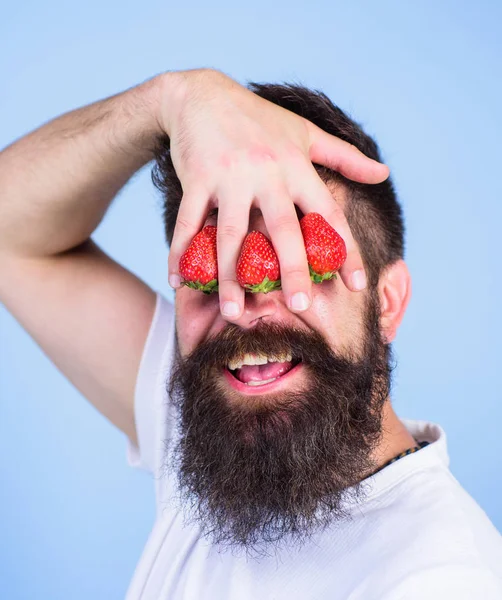 Blind of strawberry. Man bearded hipster hold hand with strawberries in front of eyes. Strawberry on my mind. Man can not see anything but strawberry blue background. Glance of man blocked by berries