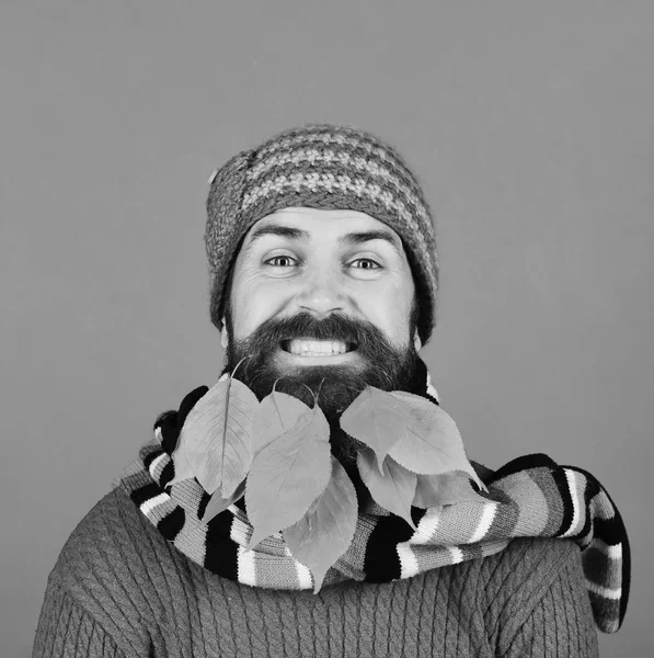 Homem de chapéu quente e cachecol no fundo verde. Hipster com rosto alegre e barba cheia de folhas de outono . — Fotografia de Stock