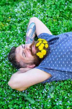 Sakal karahindiba çiçeklerle sakallı adam çayır, çimen arka plan üzerinde yatıyordu. Sakal ve bıyık yüz gülümseyen üzerinde olan adam. Tazelik kavramı. Hipster sakal rahatlatıcı dandelions buket