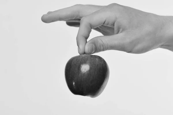 Mat och hälsosam livsstilskoncept. Manlig hand håller rött äpple. Apple isolerad på ljusgrå — Stockfoto