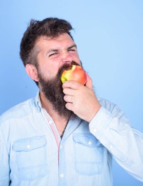 Adam yakışıklı hippi uzun sakal yeme apple ile. Elma adam diyet beslenme yiyor meyve seviyorum. Hipster aç sulu olgun elma yiyor. Meyve sağlıklı yemek saati her zaman iyi bir fikir. Sağlıklı beslenme kavramı