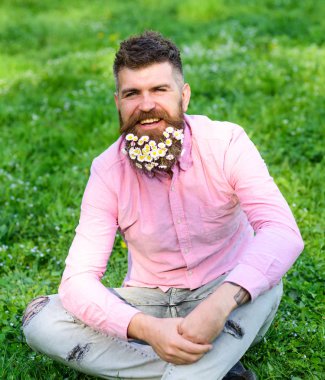 Bahar Anti kavramı. Hipster papatya ile mutlu görünüyor. Papatya çiçekler ile sakallı adam grassplot, çim arka plan üzerinde oturur. Sakallı gülümseyen yüzünde zevk Anti olmadan hayat