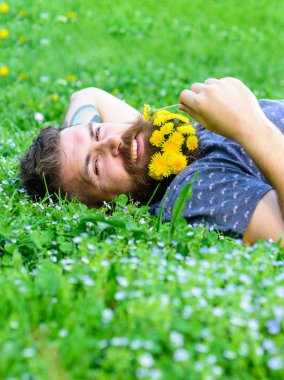 Spa ve sağlıklı yaşam konsepti. Sakallı adam karahindiba çiçekli çayır, çimen arka plan üzerinde yatıyordu. Hippi sakal rahatlatıcı dandelions buket. Sakallı yüzü gülen üzerinde zevk doğa