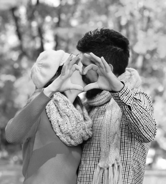 Άνδρας και γυναίκα με ρομαντικά πρόσωπα φιλί σε φθινοπωρινά δέντρα φόντο. Κοντινό πλάνο ζευγάρι κάνει καρδιά σχήμα με τα χέρια — Φωτογραφία Αρχείου
