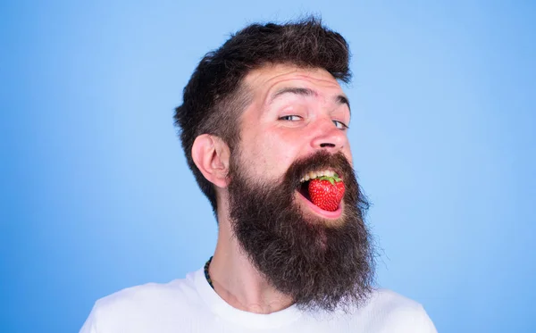 Hipster happy face enjoy juicy ripe red strawberry. Strawberry sweet taste concept. Man handsome hipster with long beard eating strawberry. Berry in mouth of bearded hipster. Freshness comes in red