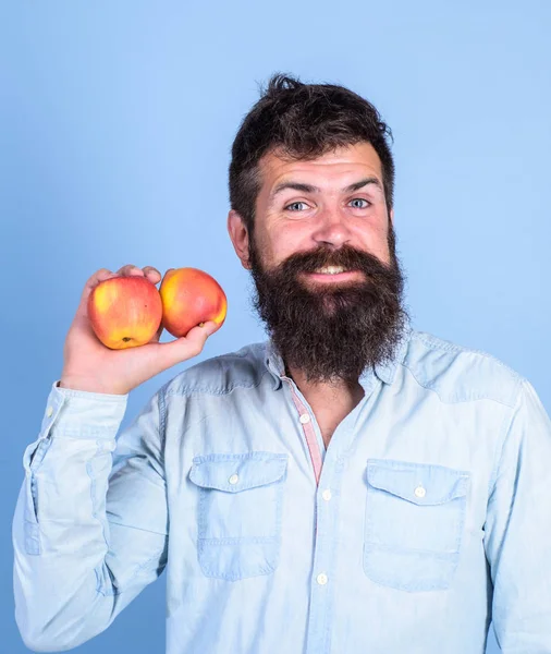りんごの抗酸化化合物の責任の健康上の利点。栄養の選択肢。ヒップなひげを持つ男は、リンゴ果実を手に保持します。栄養成分と健康上の利点。世界のりんご人気型フルーツ — ストック写真