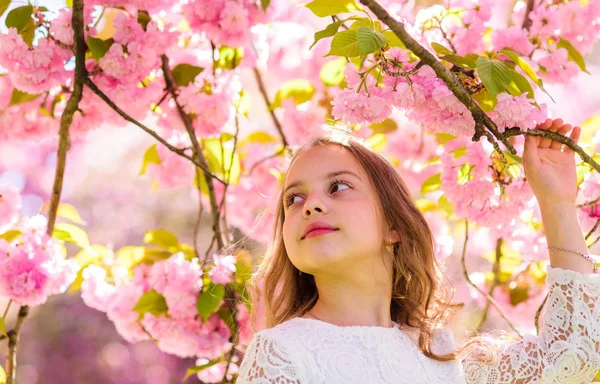 Lány a mosolygó arc áll közel sakura virágokat, defocused. Édes gyermekkor fogalma. Lány hosszú haj kültéri, cherry blossom, a háttérben. Aranyos gyermek élvezze Sakura illat a tavasz — Stock Fotó