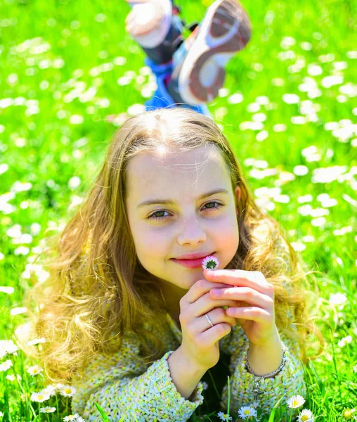 Duyarlılık kavramı. Yüz gülümseyerek kıza papatya çiçek tutan, aroma burnunu çekmek. Çocuk çayır papatya çiçekleri ile yalan ise bahar güneşli hava keyfini çıkarın. Çimen, grassplot arka plan üzerinde yatan kız