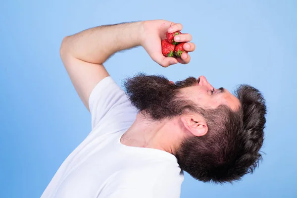 Fresh juice concept. Hipster bearded holds strawberries in fist as juice bottle. Man strict face enjoy extra fresh drink strawberry juice.Man bearded drinks strawberry juice blue background