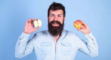 Healthy alternative. Apples in both hands healthy alternative. Man bearded smiling holds apples in hands blue background. Healthcare dieting vitamin nutrition. Totally healthy nutrition concept clipart