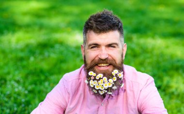 Güler yüz üzerinde sakallı Anti olmadan hayatın tadını çıkarın. Sakal, daisy çiçeklerle sakallı adam arka plan defocused, çimen. Bahar Anti kavramı. Hipster papatyalar görünümü mutlu, kopya alanı ile