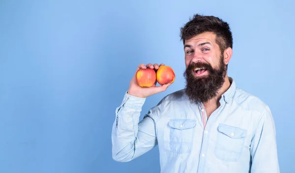 Datos nutricionales y beneficios para la salud. Adoptar el estilo de vida vegetariano trae beneficios para la salud. Nutrición saludable. Estilo de vida vegetariano. El hombre con barba hipster sostiene la mano de fruta de manzana. Recetas vegetarianas — Foto de Stock