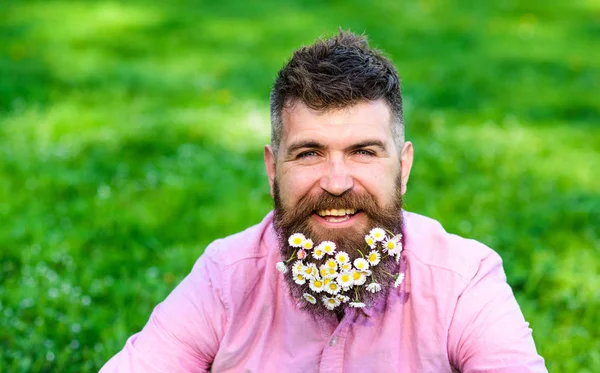 Güler yüz üzerinde sakallı Anti olmadan hayatın tadını çıkarın. Sakal, daisy çiçeklerle sakallı adam arka plan defocused, çimen. Bahar Anti kavramı. Hipster papatyalar görünümü mutlu, kopya alanı ile