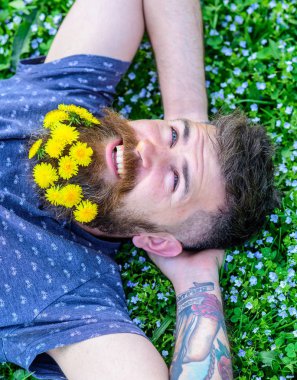Özgürlük kavramı. Sakal karahindiba çiçeklerle sakallı adam çayır, çimen arka plan üzerinde yatıyordu. Güler yüz üzerinde sakallı adam ellerini başının arkasında koy. Adam karahindiba sakal rahatlatıcı, en iyi görünümü ile