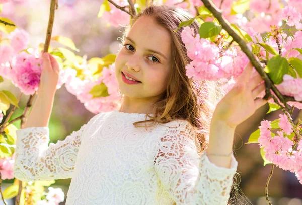 Flicka på leende ansikte står mellan sakura grenar med blommor, oskärpa. Tjej med långt hår utomhus, cherry blossom på bakgrund. Våren blommor koncept. Söta barn njuta av naturen på vårdag — Stockfoto