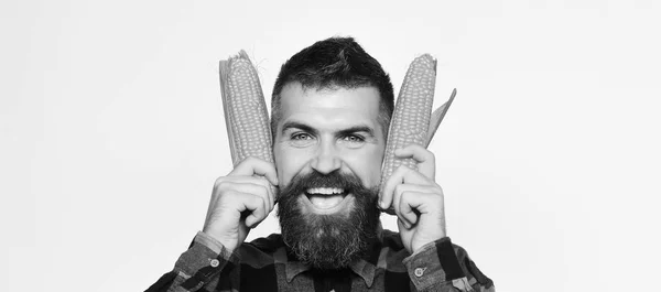 Фермер з щасливим обличчям з жовтою кукурудзою біля вух — стокове фото