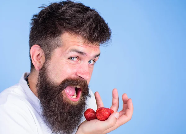 Man happy face open mouth with beard eats strawberries. Want to try my berry Man cheerful gonna eat ripe sweet strawberries blue background. Hipster bearded holds strawberries on palm, close up