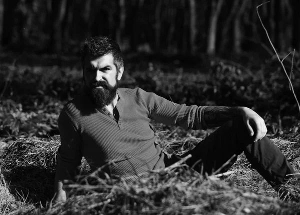 Rahatlama ve sonbahar zamanı konsepti. Maço parkta vakit geçiriyor.