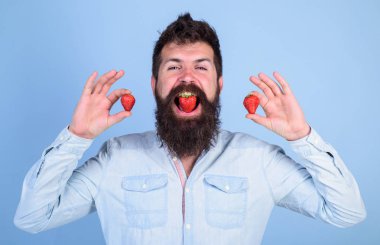 Biz ne yemek vardır. Adam berry tat tadını çıkarın. Berry ağız hipster sakallı. Çilekli tatlı tadı kavramı. Adam yakışıklı hipster uzun sakal yiyecek çilek tutun. Hipster neşeli zevk sulu çilek