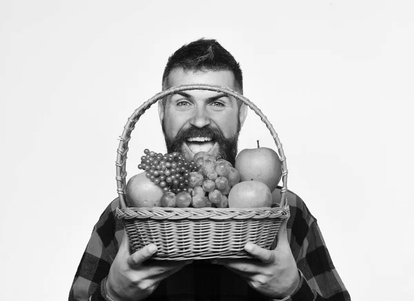 Bauer mit fröhlichem Gesicht präsentiert Äpfel, Trauben und Preiselbeeren. — Stockfoto