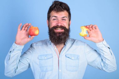 Elma her gün yemek. Meyve sağlıklı yemek saati her zaman iyi bir fikir. Adam yakışıklı hipster uzun sakal olgun elma ve neredeyse yenmiş elma güdük tutar. Mükemmel ve kavramı kusur. Adam diyet beslenme meyve yiyor